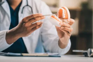 doctor modeling dentures in White Plains